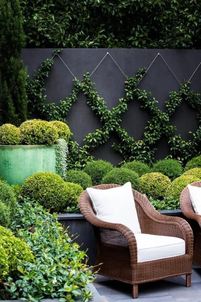 Charming Ivy Trellis Design Ideas