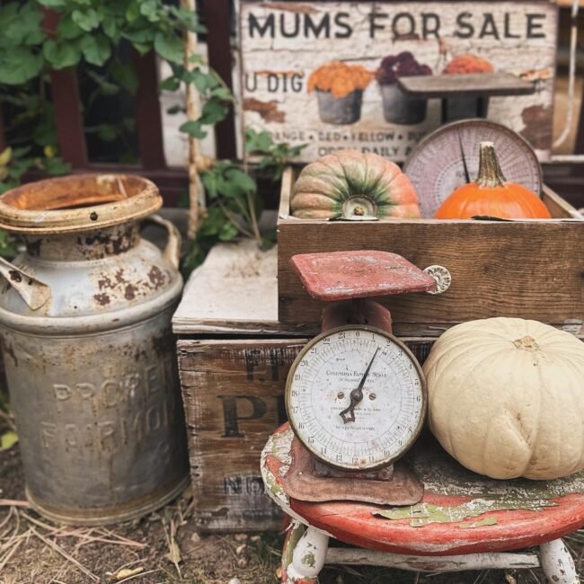 Autumn Harvest Inspiration for Your Garden