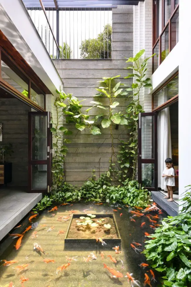 Courtyard Koi Pond with Indoor Ambiance