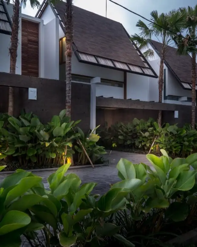 Modern Tropical Entrance