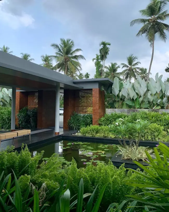 Tranquil Tropical Oasis