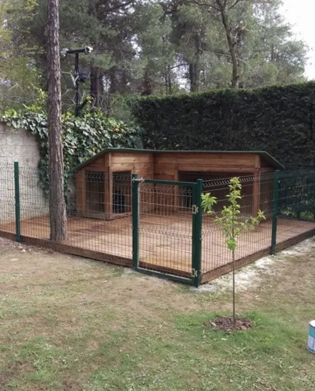 Charming Outdoor Dog House with Run