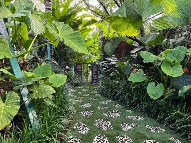 Leaf-Lined Garden Path