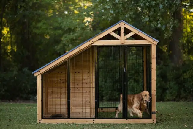 How to Keep Your Dog’s Kennel Clean and Hygienic