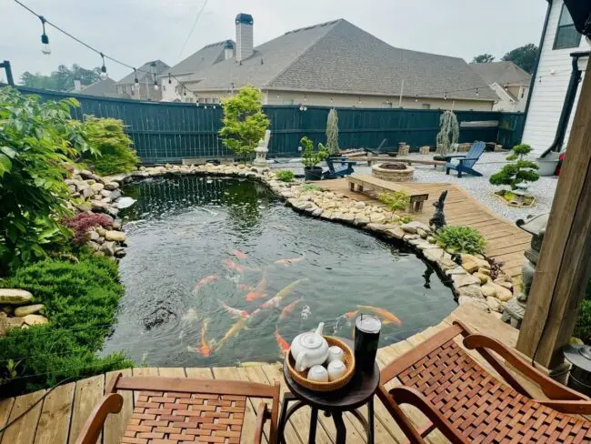 Expansive Outdoor Koi Pond with a Rock Border