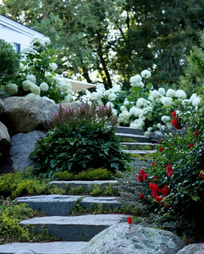 Lively Pathways Framed by Flourishing Plants