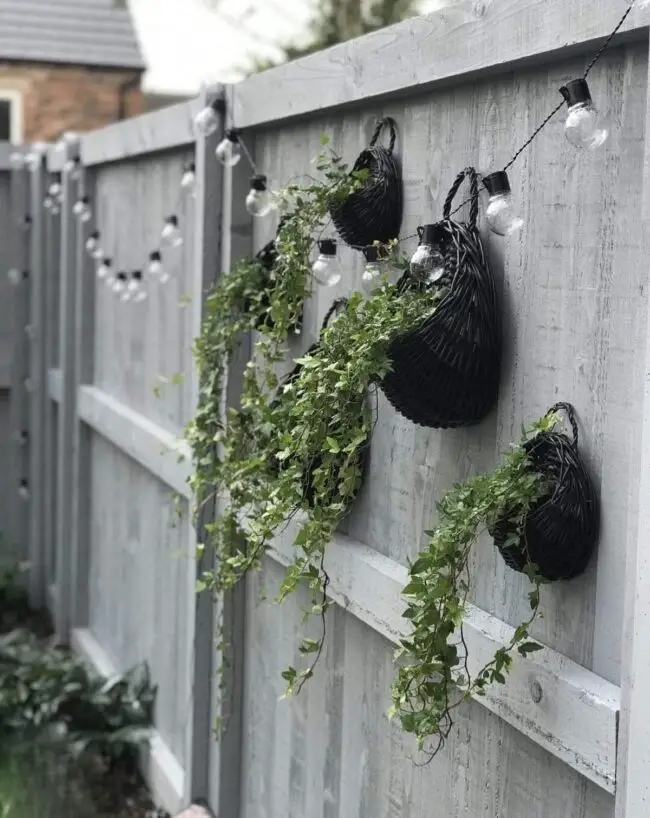 Chic Black Basket Plant Holders