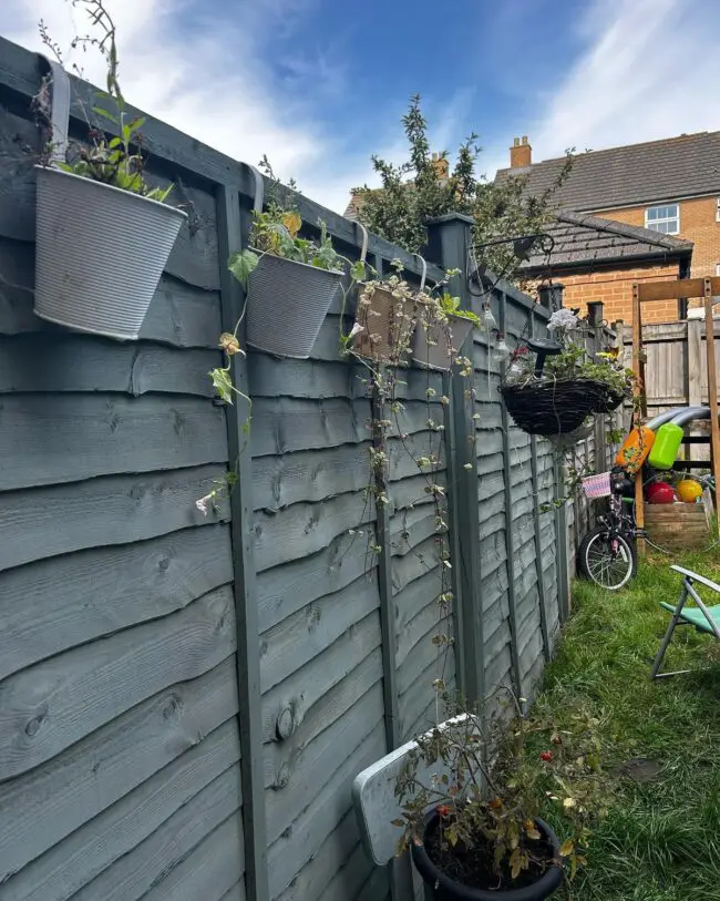 Colorful Fence with Stylish Hanging Planters