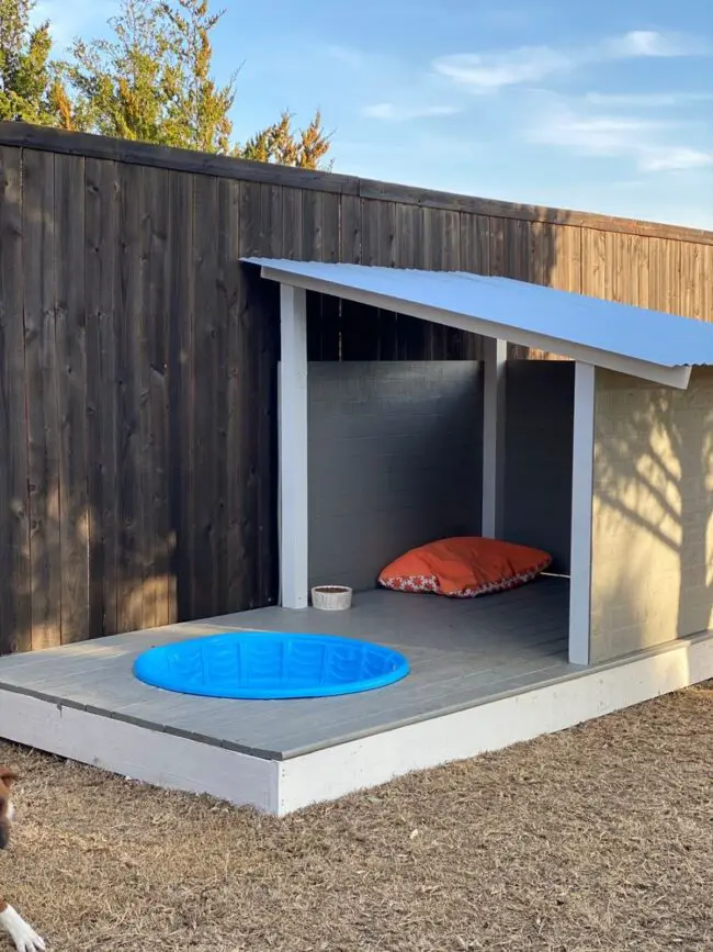 Luxurious Dog Retreat with Swimming Area