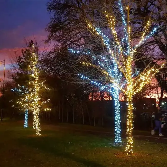 Colorful Light-Wrapped Trees for a Cheerful Scene