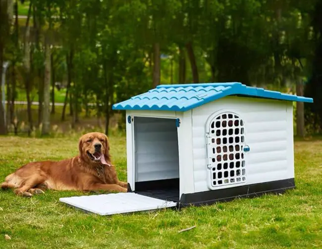 Compact and Handy Plastic Pet Carrier