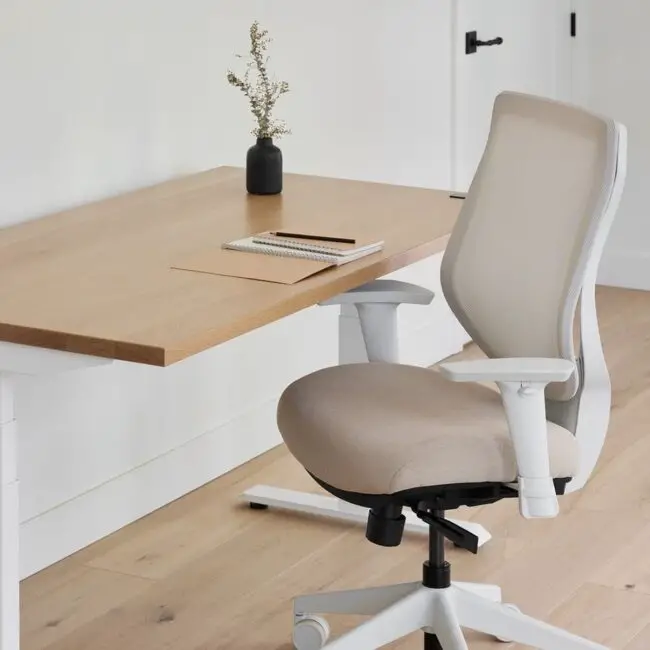 Dual-Purpose Desk Chair