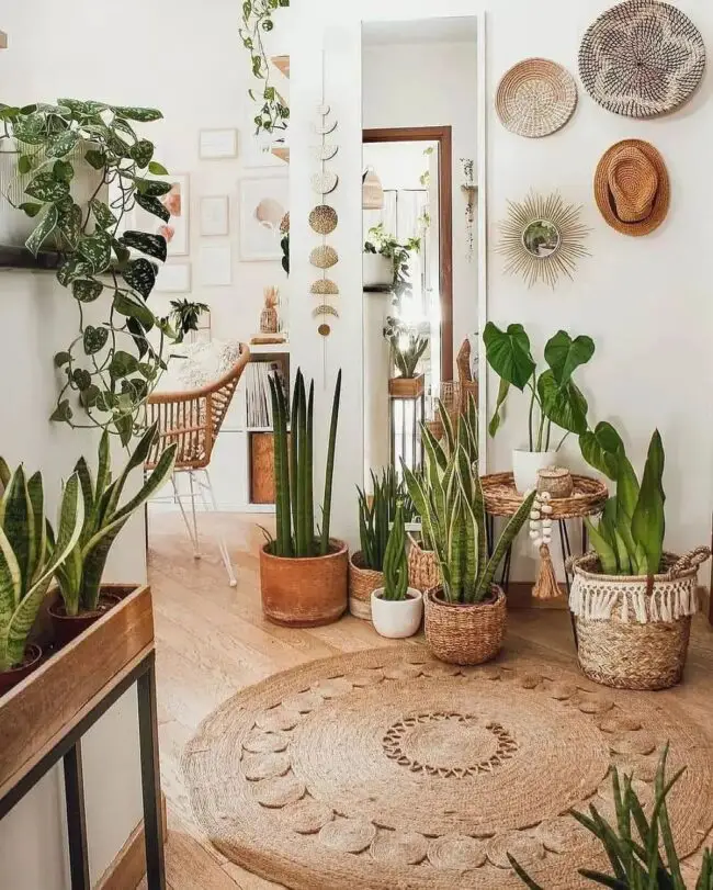 Best Indoor Plants for Different Spaces