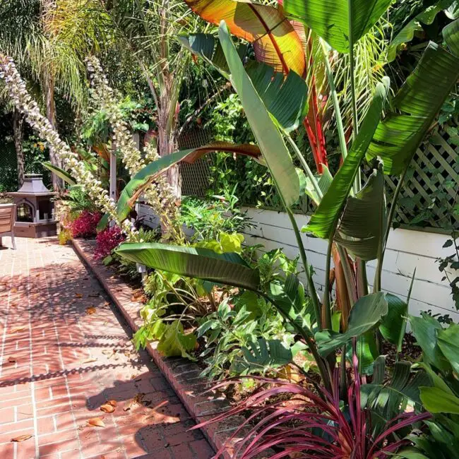 Colorful Tropical Patio