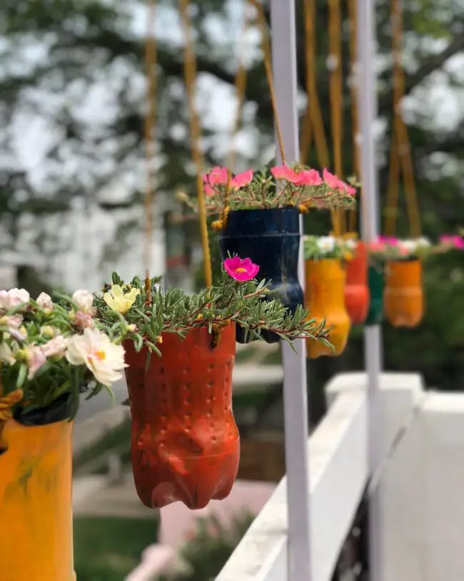 Colorful Hanging Bottle Planters for Home