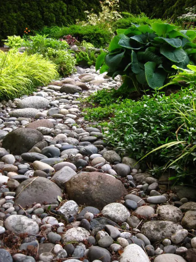 River Rocks Enhance Lush Garden Beauty