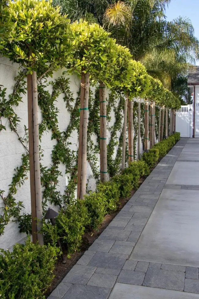 Lush Greenery Surrounds Rustic Barrier