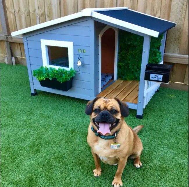 How to Choose the Right Outdoor Kennel for Your Dog