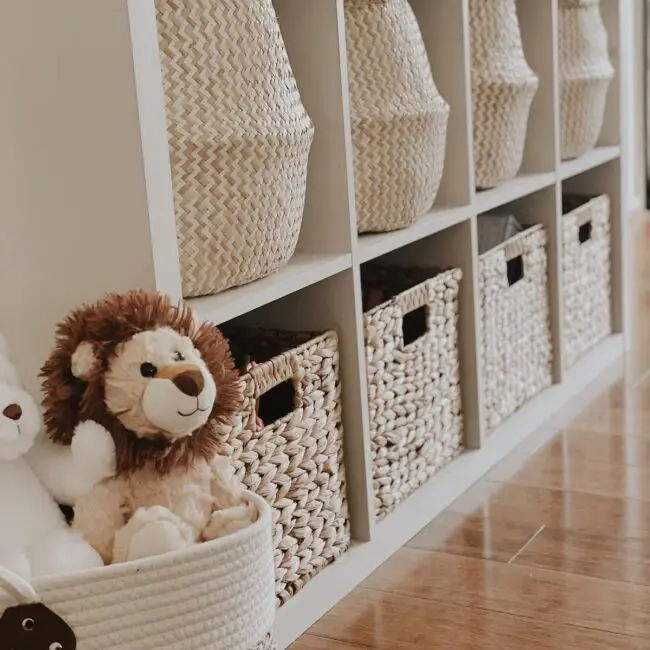 Cuddly Storage Solutions for Toys