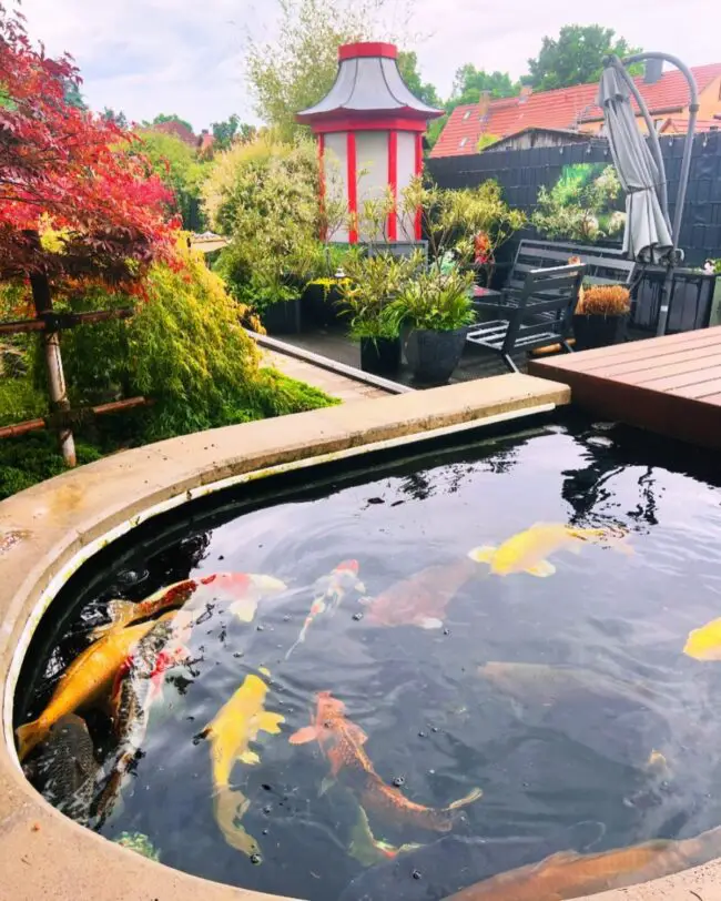 Compact Round Koi Pond Adorned with a Pagoda