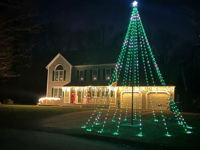 Towering Tree Dressed in Holiday Lights