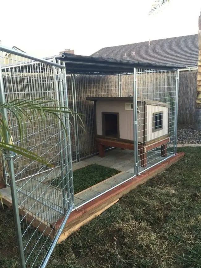 Elevated Dog House with Compact Design