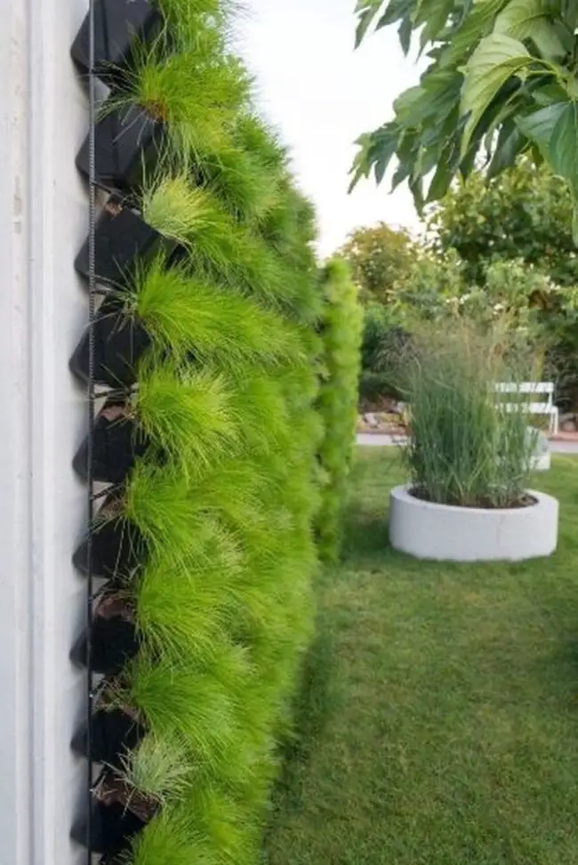 Indoor Vertical Garden Innovation