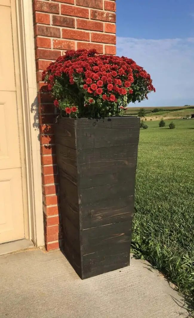 Finding the Best Material for Your Planters