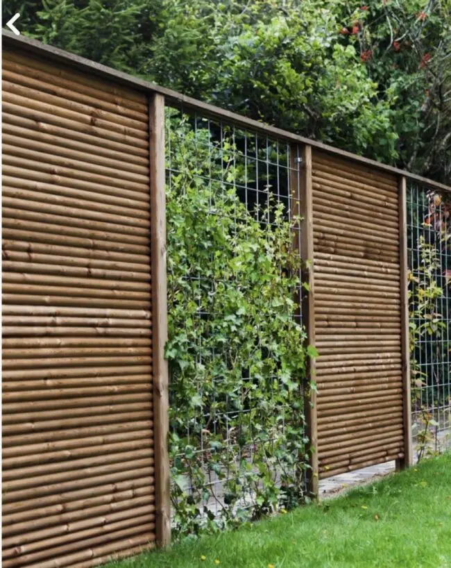 Natural Bamboo and Wire Barrier Design