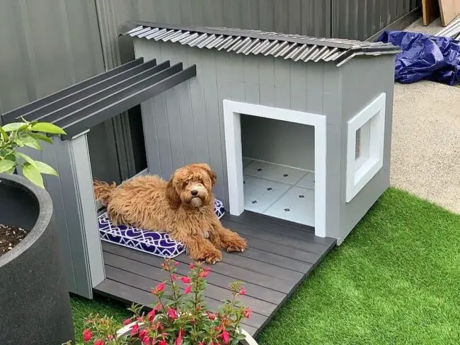 Stylish Contemporary Gray Dog House