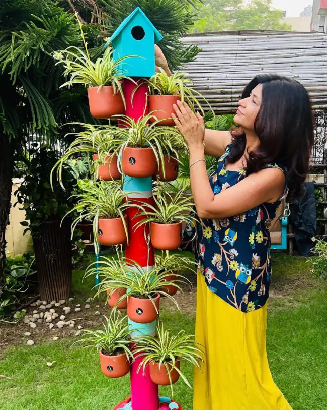 Lively Vertical Garden Featuring Birdhouse