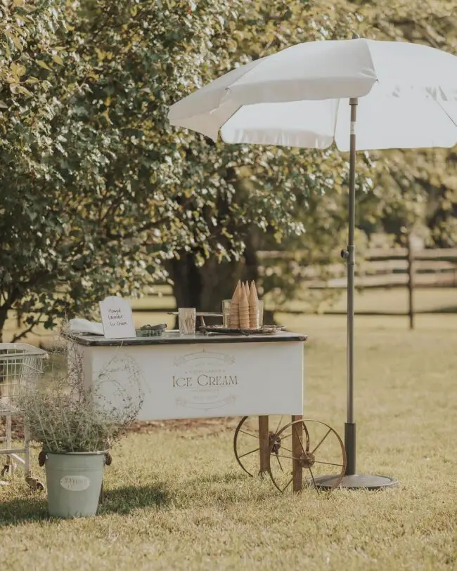 Charming Retro Ice Cream Cart Delight