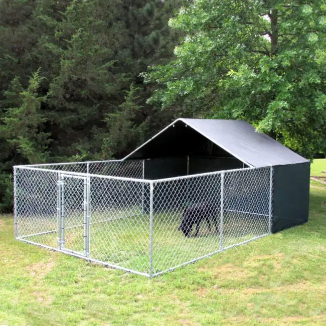 Spacious Outdoor Kennel with Protective Shade