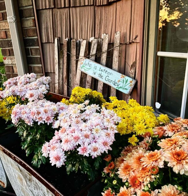 Enchanting Flower Arrangement in Vintage Trough