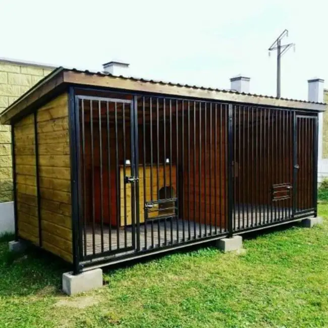 Durable Heavy-Duty Dog Kennel Design