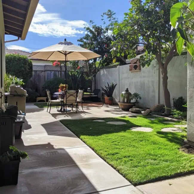 Dynamic Patio Featuring Lush Greenery