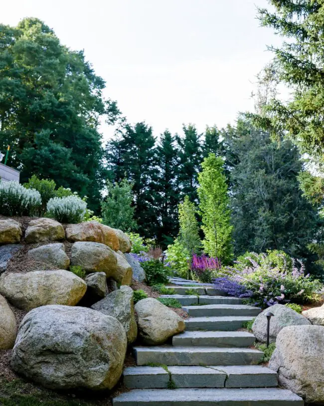 Natural Pathways in a Lush Garden