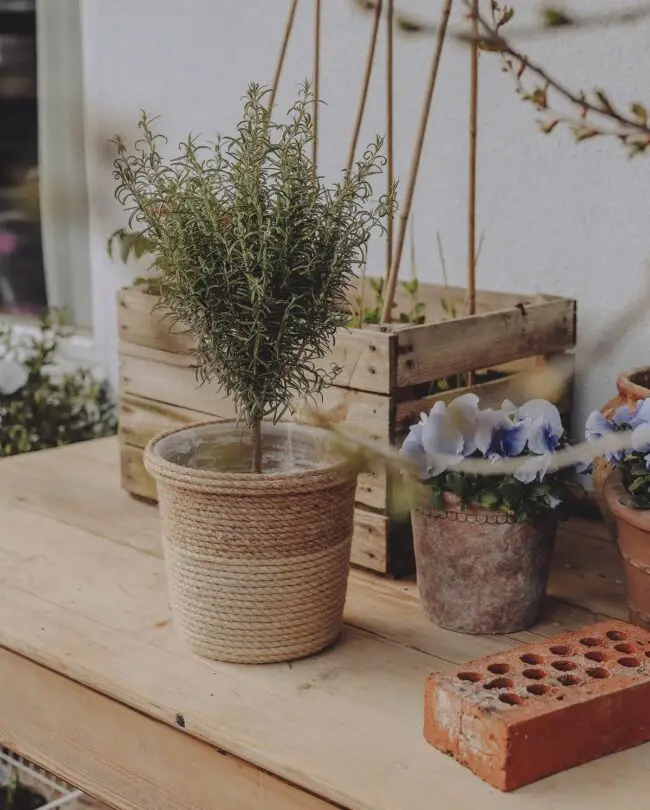 Herb and Flower Arrangement with Nature's Touch