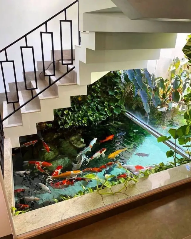 Indoor Koi Pond Nestled Under a Staircase