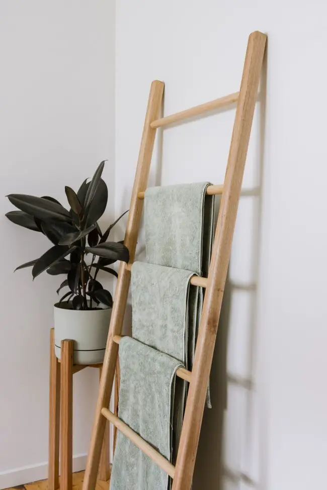 Ladder-Inspired Display Shelf