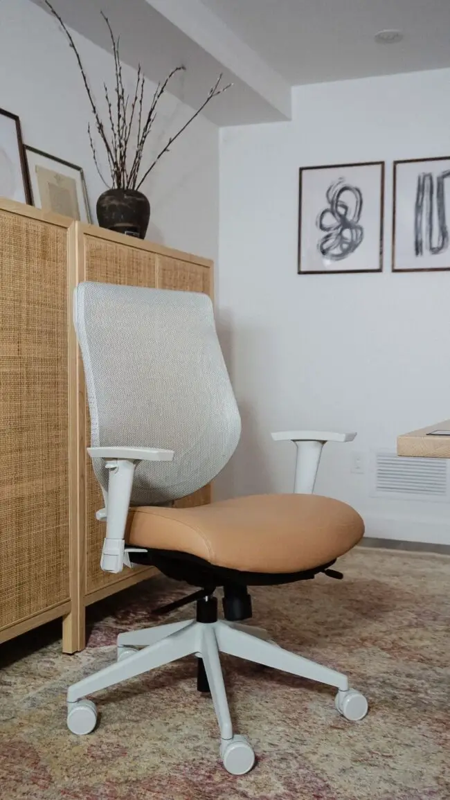 Modern Ergonomic Desk Chair