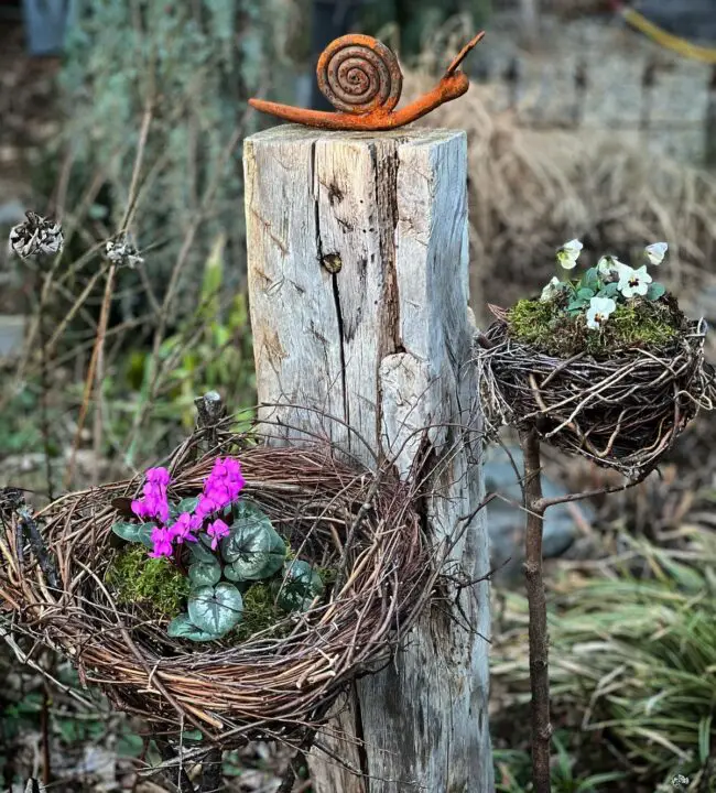 Natural Twig Nest Planters with Blooms