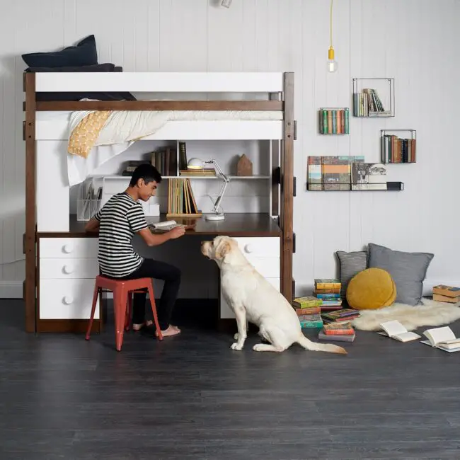 Loft Bed with Desk and Storage Drawers