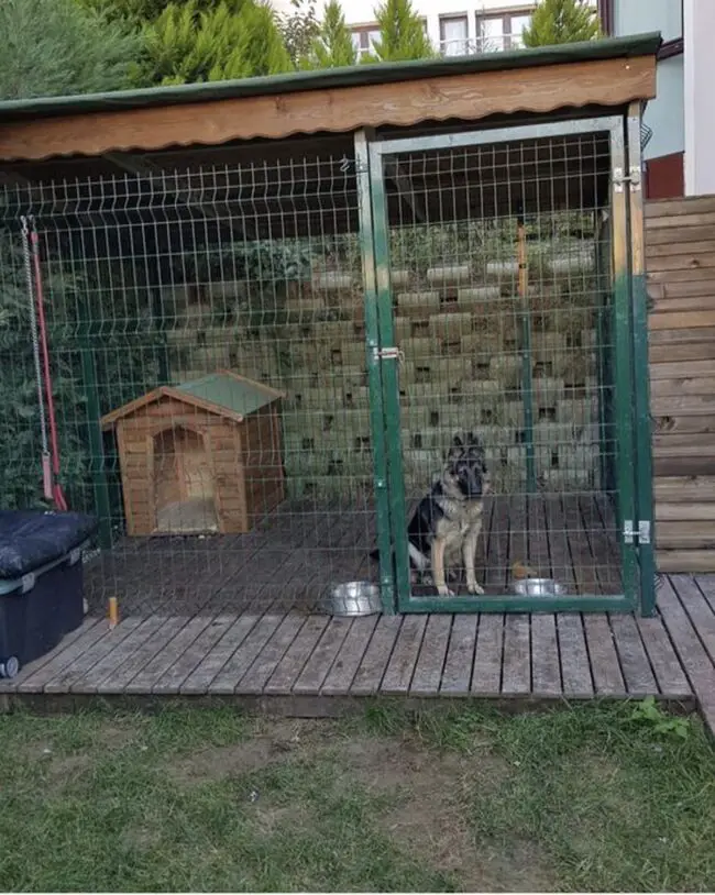 Charming Wooden Fenced Rustic Kennel