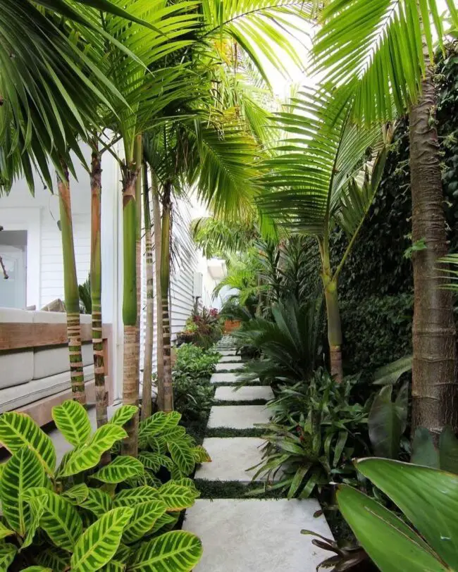 Serene Sidewalk in the Tropics