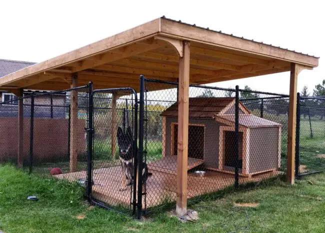 Reliable Roofed Kennel for Ultimate Safety