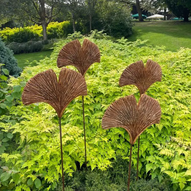 Wooden Fan-Leaf Display