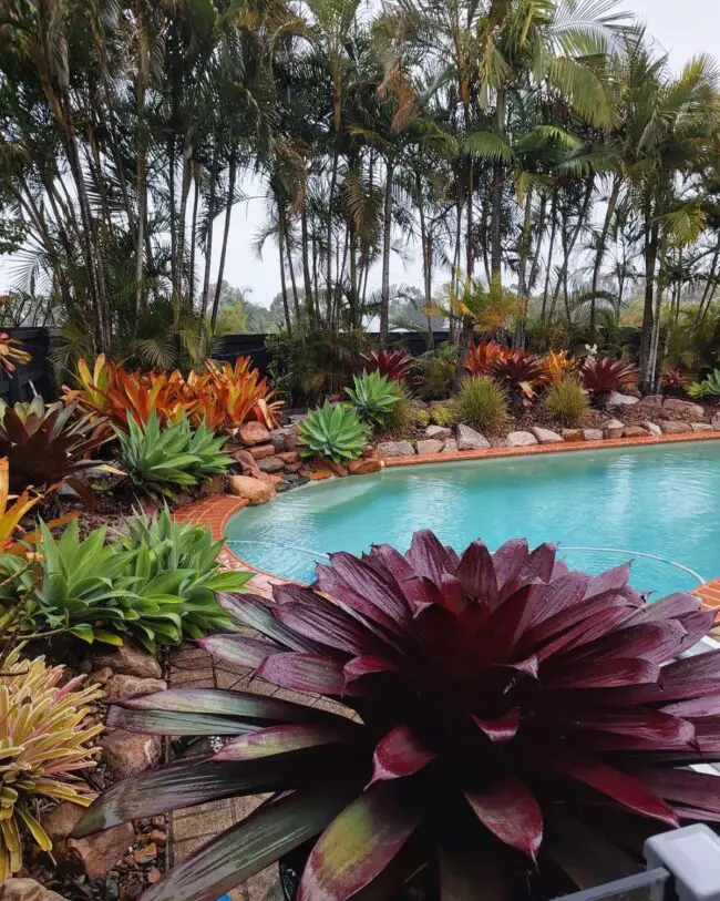 Vibrant Poolside Garden