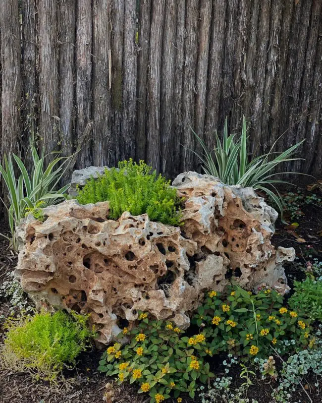 Garden Accents Inspired by Nature's Beauty