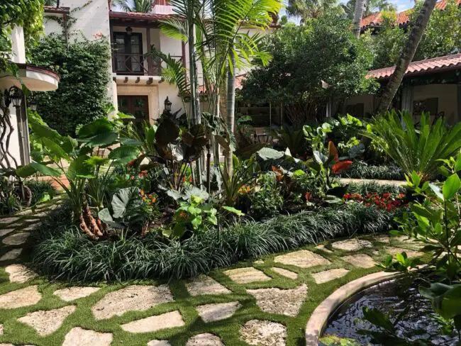 Inviting Tropical Garden